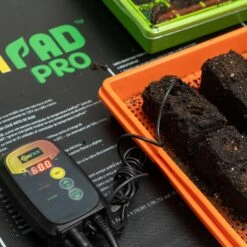 Seedling Heat Mat Temperature Controller(Seedling Heat Mat Temperature Controller) 12 Seedling Heat Mat Temperature Controller(Seedling Heat Mat Temperature Controller) -Pepper Joe shop Seedlings thriving on heat mats in a greenhouse or indoor setup 6d592bc3 60f9 4ea9 a3b7 0385de96917d