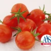 Sparky XSL Hybrid Tomato Seeds(Sparky Xsl Hybrid Tomato Seeds) 1 Sparky XSL Hybrid Tomato Seeds(Sparky Xsl Hybrid Tomato Seeds) -Pepper Joe shop SparkyXSL