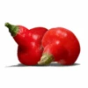 Spinning Top Pepper Seeds(Spinning Top Pepper Seeds) -Pepper Joe shop SpinningTop1 copy