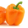 Sunbright Pepper Seeds(Sunbright Pepper Seeds 1) -Pepper Joe shop SunBright