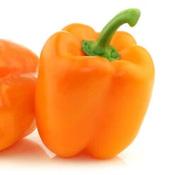 Sunbright Pepper Seeds(Sunbright Pepper Seeds 1)