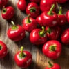 Sweet Cherry Pepper Seeds(Sweet Cherry Pepper Seeds) 2 Sweet Cherry Pepper Seeds(Sweet Cherry Pepper Seeds) -Pepper Joe shop SweetCherry