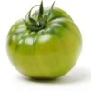 Tasty Evergreen Tomato Seeds(Tasty Evergreen Tomato Seeds) 2 Tasty Evergreen Tomato Seeds(Tasty Evergreen Tomato Seeds) -Pepper Joe shop Tasty Evergreen Tomato