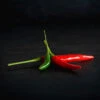 Thai & Cayenne Pepper Seed Collection(Thai Cayenne Seed Collection) -Pepper Joe shop Thai Cayenne Pepper Seed Collection.03