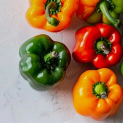 The Classics Pepper Seed Collection(The Classics Pepper Seed Collection)