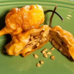 Thors Hammer Peach Pepper Seeds(Thors Hammer Peach Pepper Seeds) 7 Thors Hammer Peach Pepper Seeds(Thors Hammer Peach Pepper Seeds) -Pepper Joe shop Thors Hammer Peach.03