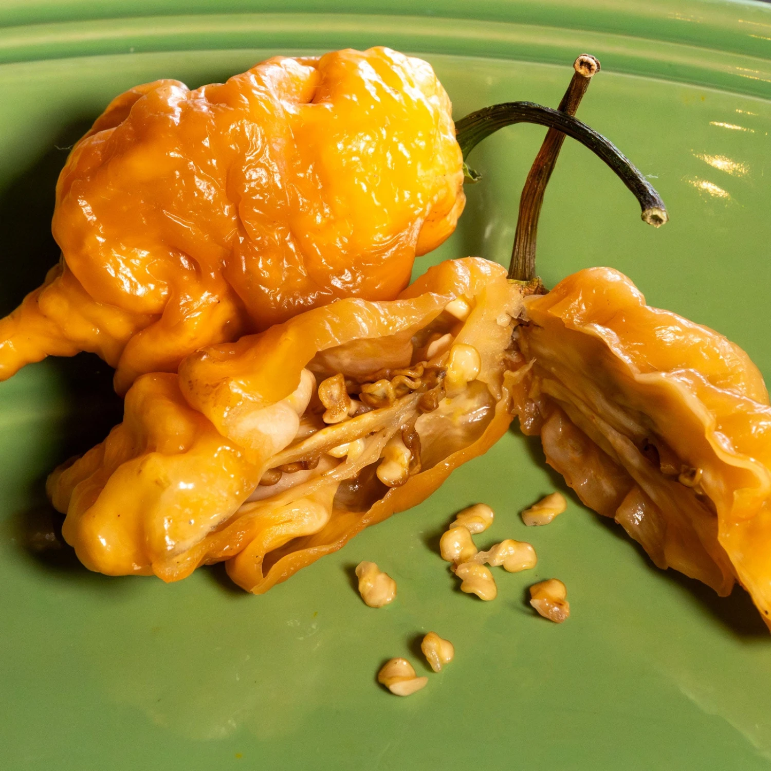 Thors Hammer Peach Pepper Seeds(Thors Hammer Peach Pepper Seeds) 5 Thors Hammer Peach Pepper Seeds(Thors Hammer Peach Pepper Seeds) - Image 3