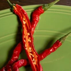 Thunder Mountain Longhorn Pepper Seeds(Thunder Mountain Longhorn Pepper Seeds) -Pepper Joe shop Thunder Mountain Longhorn.03