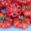 Rosso Sicilian Tomato Seeds(Rosso Sicilian Tomato Seeds) -Pepper Joe shop Tom Rossa Sicilian cmyk 1