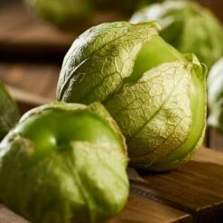 Tomatillo Rio Grande Verde Seeds(Tomatillo Rio Grande Verde Seeds)