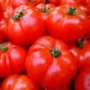 Red Brandywine Tomato Seeds(Red Brandywine Tomato Seeds) -Pepper Joe shop Tomato Brandywine