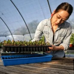 Plug Popper For Cell Trays(Plug Popper For Cell Trays) 17 Plug Popper For Cell Trays(Plug Popper For Cell Trays) -Pepper Joe shop UsingaPlugPopper