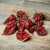 Kraken Scorpion Pepper Seeds(Kraken Scorpion) 2 Kraken Scorpion Pepper Seeds(Kraken Scorpion) -Pepper Joe shop Web Ready Kraken Scoprion