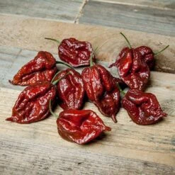 Kraken Scorpion Pepper Seeds(Kraken Scorpion)
