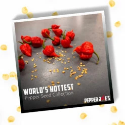 Worlds Hottest Pepper Seed Collection(Worlds Hottest Pepper Seeds) -Pepper Joe shop Worlds Hottest Pepper Seed Collection.02