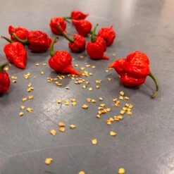 Worlds Hottest Pepper Seed Collection(Worlds Hottest Pepper Seeds)