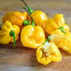 Small Yellow Cherry Hot Pepper Seeds(Small Yellow Cherry Hot)