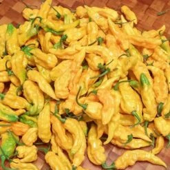 Yellow Ghost (Bhut Jolokia) Pepper Seeds(Yellow Bhut Jolokia)