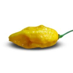 Yellow Devils Tongue Pepper Seeds(Yellow Devils Tongue)