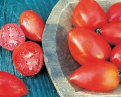 Amish Paste Tomato Seeds(Amish Paste Tomato Seeds)