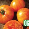 Beauty King Tomato Seeds(Beauty King Tomato Seeds) -Pepper Joe shop beauyking2