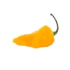 Bonda Ma Jacques Pepper Seeds (Non-Isolated)(Bonda Ma Jacques Pepper Seeds) 2 Bonda Ma Jacques Pepper Seeds (Non-Isolated)(Bonda Ma Jacques Pepper Seeds) -Pepper Joe shop bonda ma jacques peper
