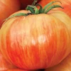 Copia Tomato Seeds(Copia Tomato Seeds) -Pepper Joe shop copia