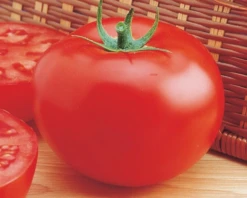 Delicious Tomato Seeds(Delicious Tomato Seeds)