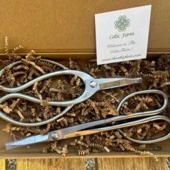 Garden Gift Box - Stainless Garden Scissor Set(Garden Gift Box Stainless Garden Scissor Set) -Pepper Joe shop garden gift box stainless garden scissor set 118543