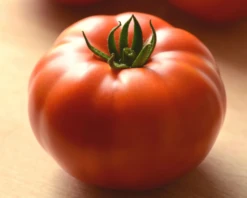 Genuwine Hybrid Tomato Seeds(Genuwine Hybrid Tomato Seeds)