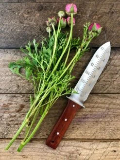 Our Katana Hori Hori Garden Tool: Premium Japanese Weeding Knife -Pepper Joe shop hori hori garden tool 604784