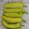 Hot Banana Pepper Seeds(Hot Banana Pepper Seeds)