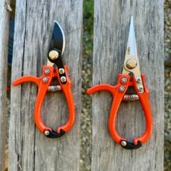 Mini Hand Pruner Gift Set - Ergonomic Pruners(Mini Hand Pruner Gift Set Ergonomic Pruners)
