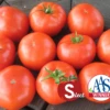 Mountain Merit Hybrid Tomato Seeds(Mountain Merit Hybrid Tomato Seeds) -Pepper Joe shop mountainmerit2