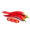 Pepper Joe Cayenne Pepper Seeds(Pepper Joe Cayenne) -Pepper Joe shop pepper joe cayenne hot pepper pepper joes
