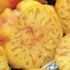 Pineapple Tomato Seeds(Pineapple Tomato Seeds) 2 Pineapple Tomato Seeds(Pineapple Tomato Seeds) -Pepper Joe shop pineapple