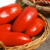 Polish Paste Tomato Seeds(Polish Paste Tomato Seeds) -Pepper Joe shop polishpaste