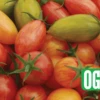 Artisan Mix Prettiest Tomato Seeds(Artisan Mix Prettiest Tomato Seeds) 2 Artisan Mix Prettiest Tomato Seeds(Artisan Mix Prettiest Tomato Seeds) -Pepper Joe shop prettiest2