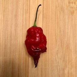 Reaper Sbagliato Chili Pepper Seeds (Non-Isolated)(Reaper Sbagliato Chili Pepper Seeds)