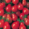 Red Pear Tomato Seeds(Red Pear Tomato Seeds) -Pepper Joe shop redpear
