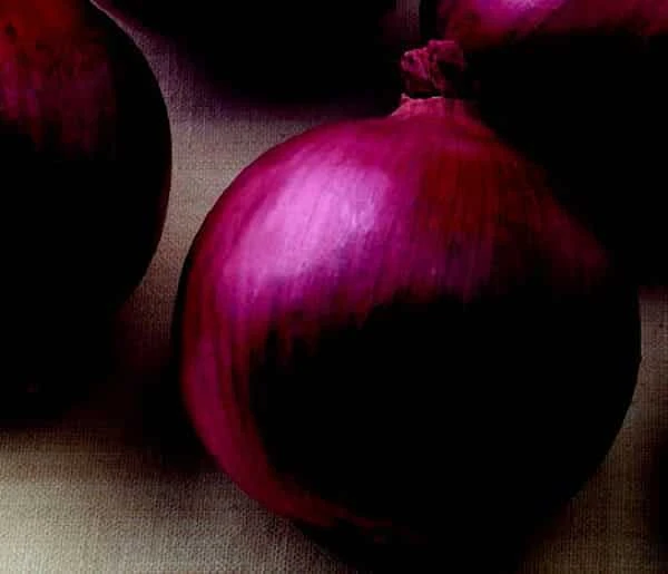 Red Mountain Hybrid Onion Seeds(Red Mountain Hybrid Onion Seeds) 4 Red Mountain Hybrid Onion Seeds(Red Mountain Hybrid Onion Seeds) - Image 2