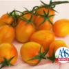Sunset Torch Hybrid Tomato Seeds(Sunset Torch Hybrid Tomato Seeds)