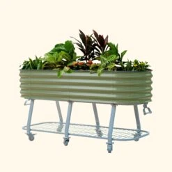 Elevated Rolling Self-Watering Garden Bed(Elevated Rolling Self Watering Garden Bed) -Pepper Joe shop vego garden elevated garden bed 2x6ft olive green