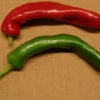 Zesty 7 Mild Pepper Seeds(Zesty 7 Mild Pepper Seeds) 1 Zesty 7 Mild Pepper Seeds(Zesty 7 Mild Pepper Seeds) -Pepper Joe shop zesty 7 pepper seeds